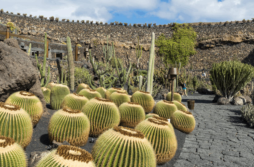 Área de los Cactus y las Crasas, Spain